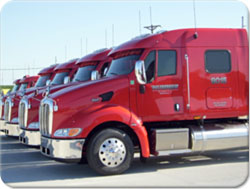Photo of some of the trucks in our fleet.